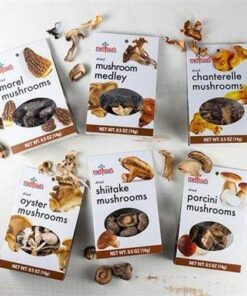 Magic Mushroom Sampler Kit